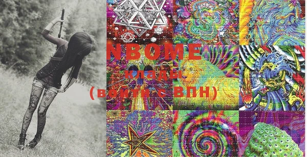 PSILOCYBIN Аркадак