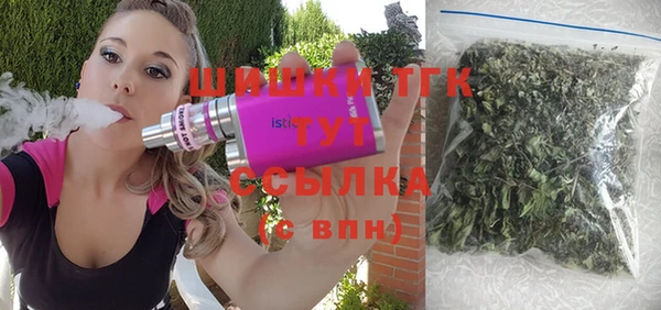 шишки Алексин