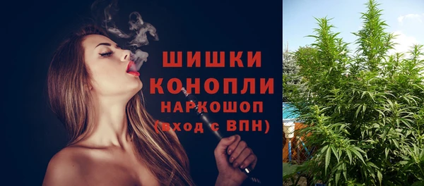 шишки Алексин